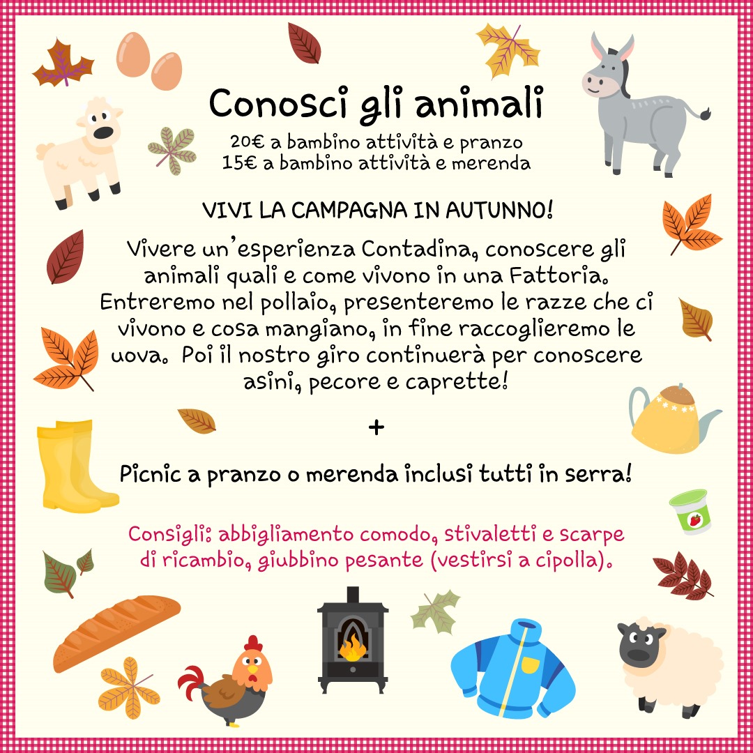 Immagine WhatsApp 2025-10-30 ore 21.47.15_68b554ac